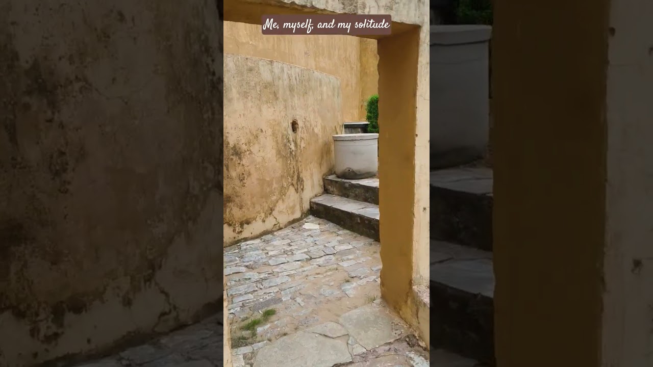 Me, myself, and my solitude. #solitude #calm #walking #meditative #calming #rejuvenation