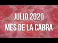 JULIO 2020 MES DE LA CABRA ¡ACTIVA LA ENERGÍA A TU FAVOR! | Mónica Koppel