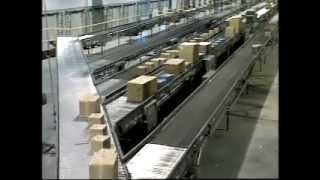5-To-1 Merge Conveyor for Case Handling - Material Handling Conveyors