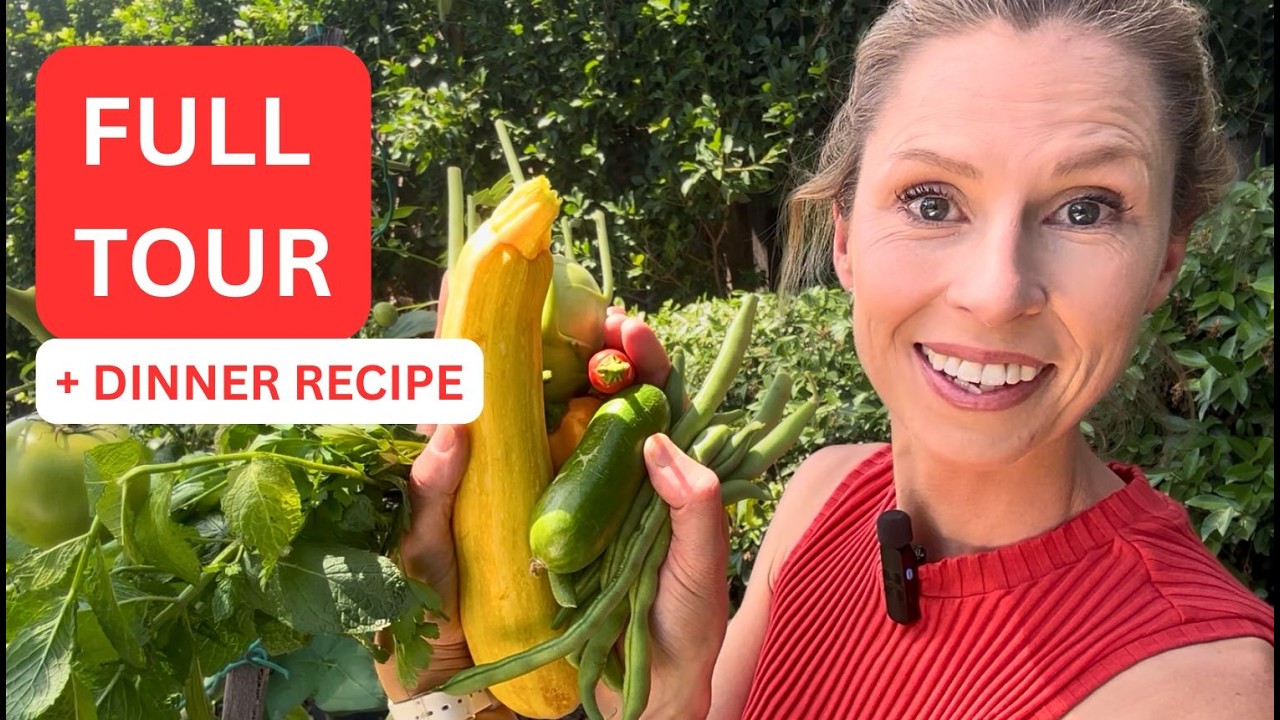 Что сейчас растёт в моём австралийском саду (и что я из этого приготовила!) | Конец лета - феврал...