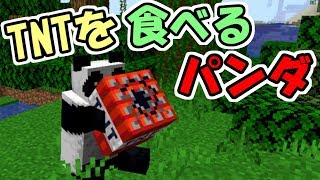 【マインクラフト】全部のアイテムを食べる！？ＴＮＴを食べるパンダがやばすぎた！！【面白データパック紹介】