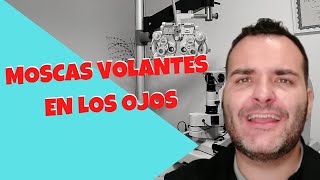 Moscas Volantes | CAUSAS | SÍNTOMAS Y TRATAMIENTOS