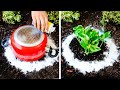 Hack your Garden with these amazing tips!