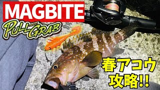 A powerful ally for catching spring grouper! How to use the Magbite Pull Grub! This worm is amazing! A powerful ally for catching spring grouper! How to use the Magbite Pull Grub! This worm is amazing!