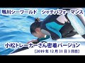 【2019年12月31日3回目】鴨川シーワールド　シャチパフォーマンス　小松トレーナーさん密着バージョン