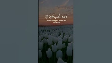 اروع تلاوة القران الكريم ب صوت القارئ محمد اللحيدان سورة الروم آجمل حالات واتس اب قرآنيه