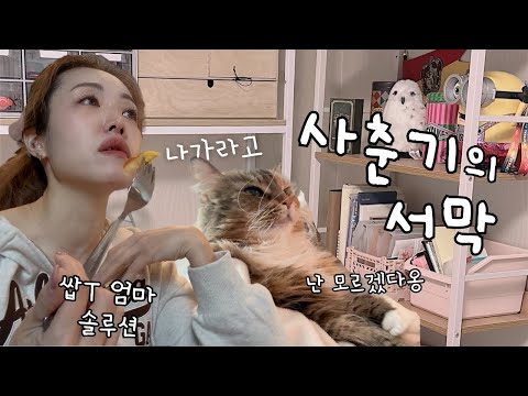 축하해, 너 잘 크고있다👍🏻😴눈 감고 있는게 힘들어서 잠을 못잔다니까 진짜로🛌