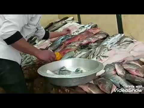 اشهر مطعم سمك فى مصر ابن حميدو السيدة زينب الفيديو ممتع بجد اوعوا يفوتكم