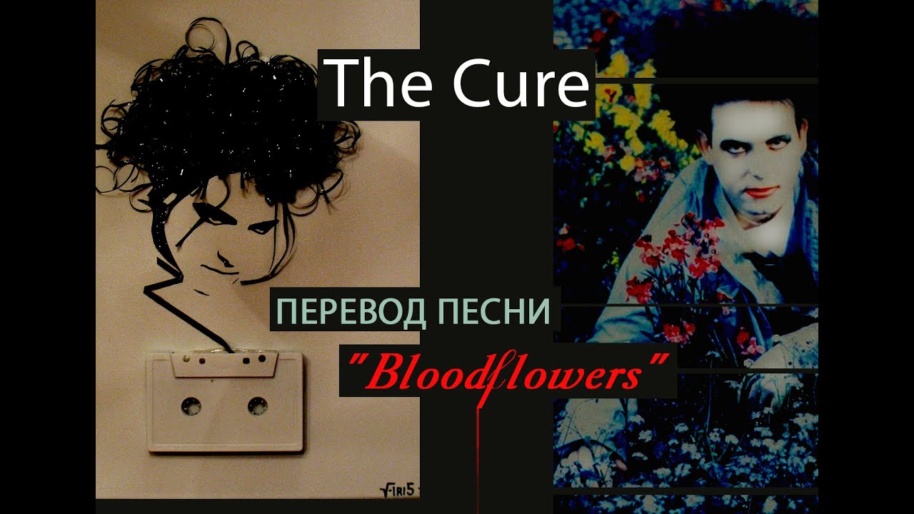 Cure перевод на русский