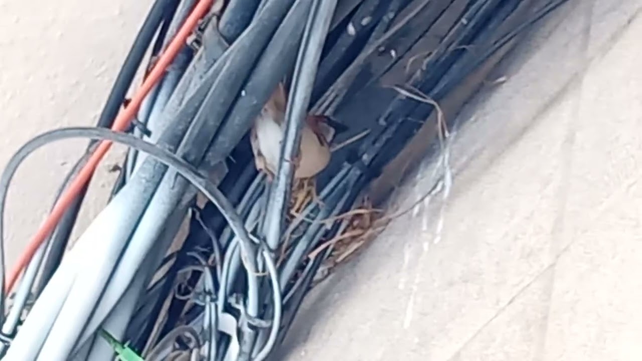 24 de febrero de 2026