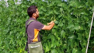 Terrateck - Sac de récolte pour fruits et légumes