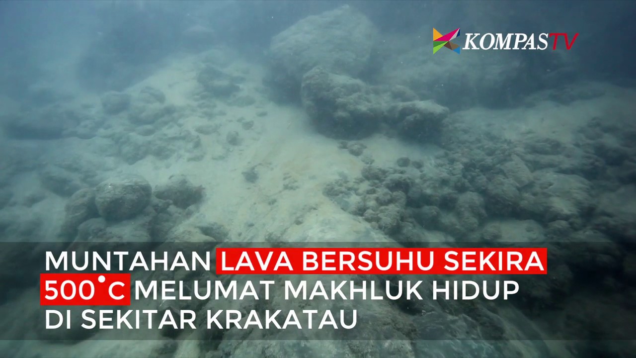 Begini Kondisi Bawah Laut Krakatau Akibat Erupsi Youtube