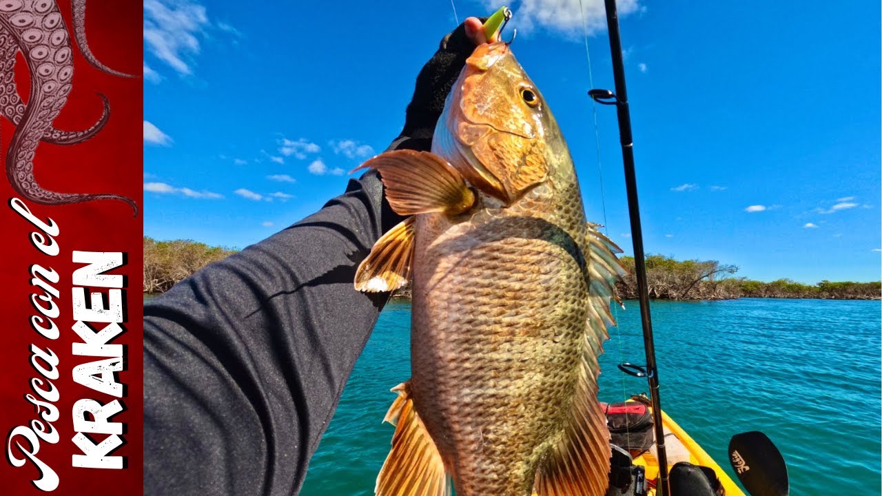 SUPER PESCA EN ESTERO!!! Flakito jig PESCA EN KAYAK HOBIE KAYAK