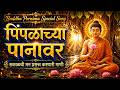 Pimpalachya Panavar pahile chitra gautamache | पिंपळाच्या पानावर | 🔔 Channel subscribe करा