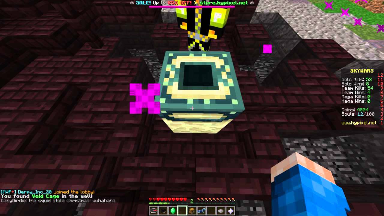 Minecraft Saoal Part Minecraft soal well pack opening - YouTube