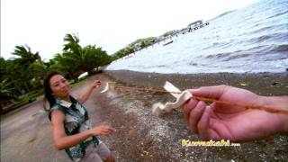 Download Lagu Migrations MP3 Download Lagu Migrations MP3