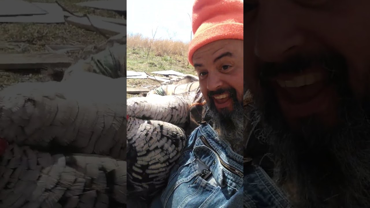 Tom Turkey gets mad. I wont eat you Tom lol