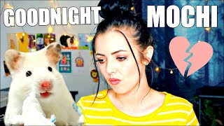 We Lost My Hamster Goodnight Mochi September 2017