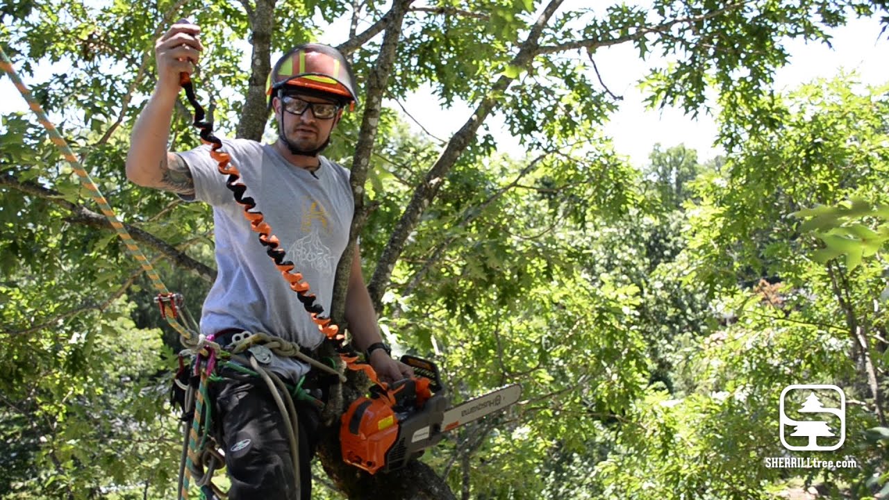 Reecoil Full Reach Chainsaw Lanyard