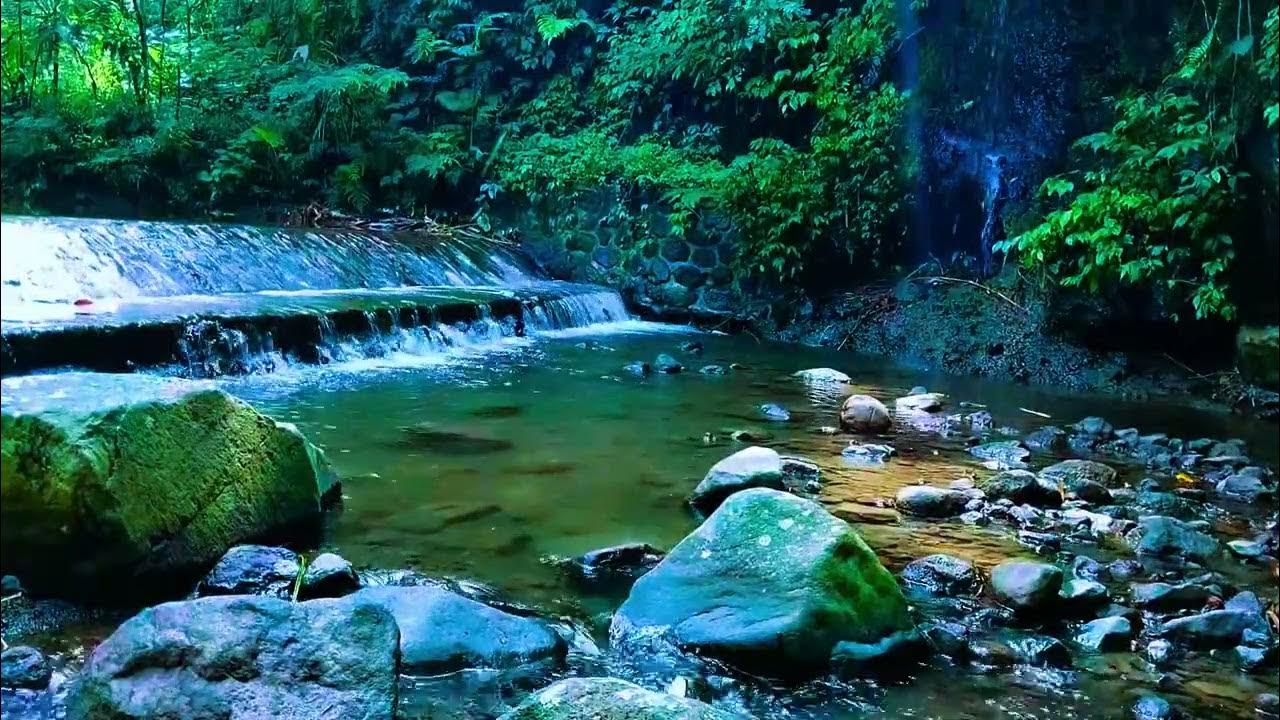 Relaxing River Sounds - Peaceful Forest River - 3 Hours Long - HD 1080p - Nature Video Relaxing River Sounds - Peaceful Forest River - 3 Hours Long - HD 1080p - Nature Video