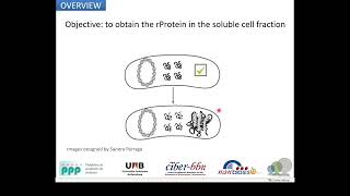 NANBIOSIS Unit 1 PPP part 2: process design