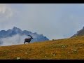 Alta Via n°1 - Haute Route de la vallée d'Aoste