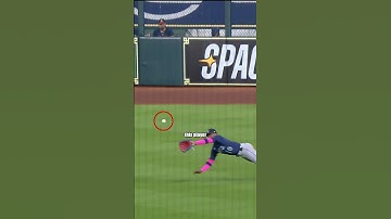 This Game-Saving Catch Was Incredible