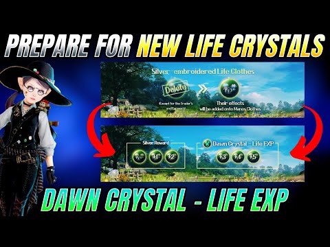 Dawn Crystal Life EXP Preparation Guide For Black Desert Online