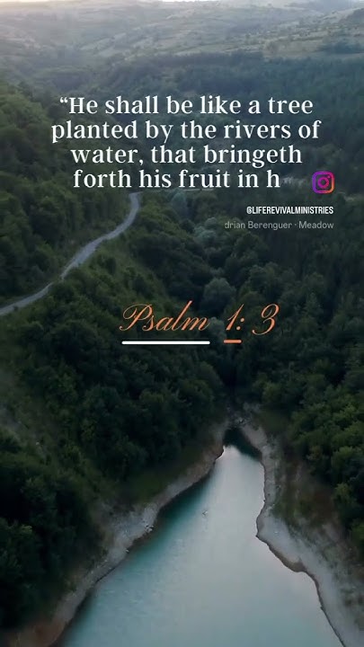psalm-1-3-kjv-youtube