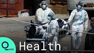 New York City Covid-19 Deaths Surge 31%
