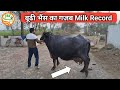 👍Live Milking : 11th Lactation #Murrah, Milk Record 24Kg.👍 Sukhdev (9729214090) Kaithal, 👍👍