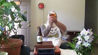 Beer Review # 3026 Lagunitas Brewing Hop Stoopid Re Review