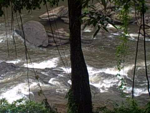 Vazhachal Waterfall video