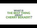 Life at cherry bekaert what is the best thing at cherry bekaert