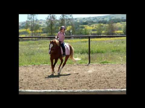 Tyler cantering her first course April 19, 2010