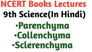 [Hindi] Parenchyma, Collenchyma & Sclerenchyma | Class 9 Science | Biology