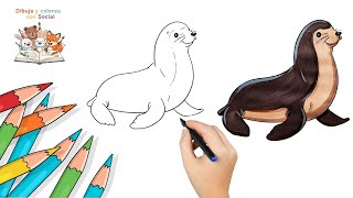 Cómo dibujar una Foca y colorear | Dibujo Kawaii de Animales Marinos paso a paso