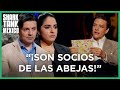 Un negocio de envoltorios ecológicos | Shark Tank México