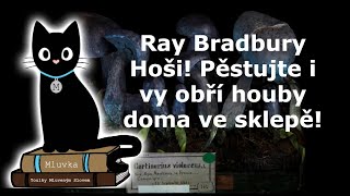 Ray Bradbury - Hoši! Pěstujte i vy obří houby doma ve sklepě! (Fantasy) (Sci-Fi) (Mluvené slovo CZ)