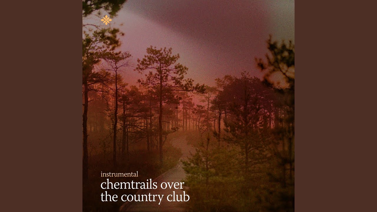 Chemtrails Over The Country Club (Instrumental)