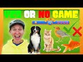 Animals  yes or no game  dream english kids