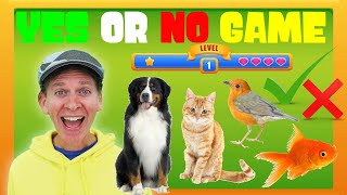 animals yes or no game dream english kids