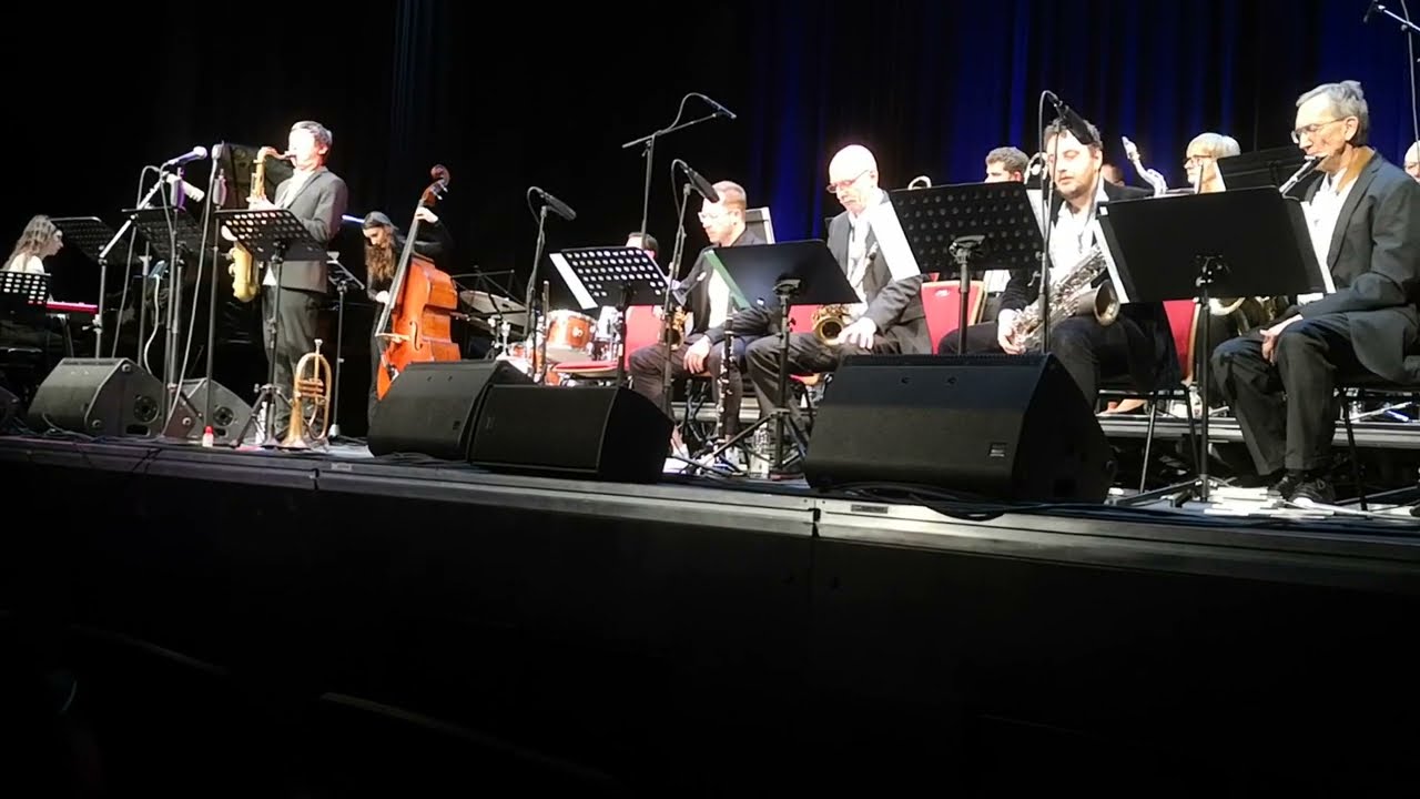 The Little Things |  WW BIG BAND & Max Treutner