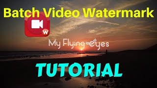 Batch Video Watermark Tutorial