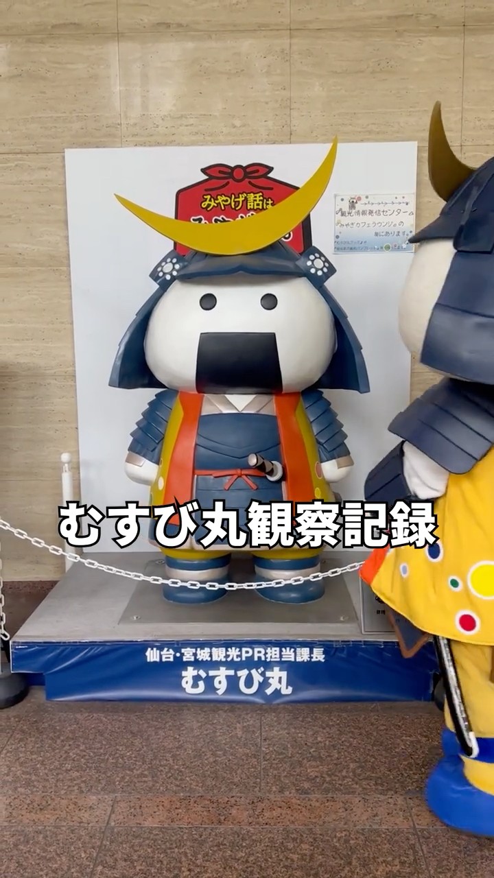 むすび丸観察記録 - YouTube