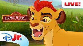 🔴 LIVE 24/7! The Lion Guard Season 1 Full Episodes Livestream 🦁📺 | Disney Jr. 🔴 LIVE 24/7! The Lion Guard Season 1 Full Episodes Livestream 🦁📺 | Disney Jr.