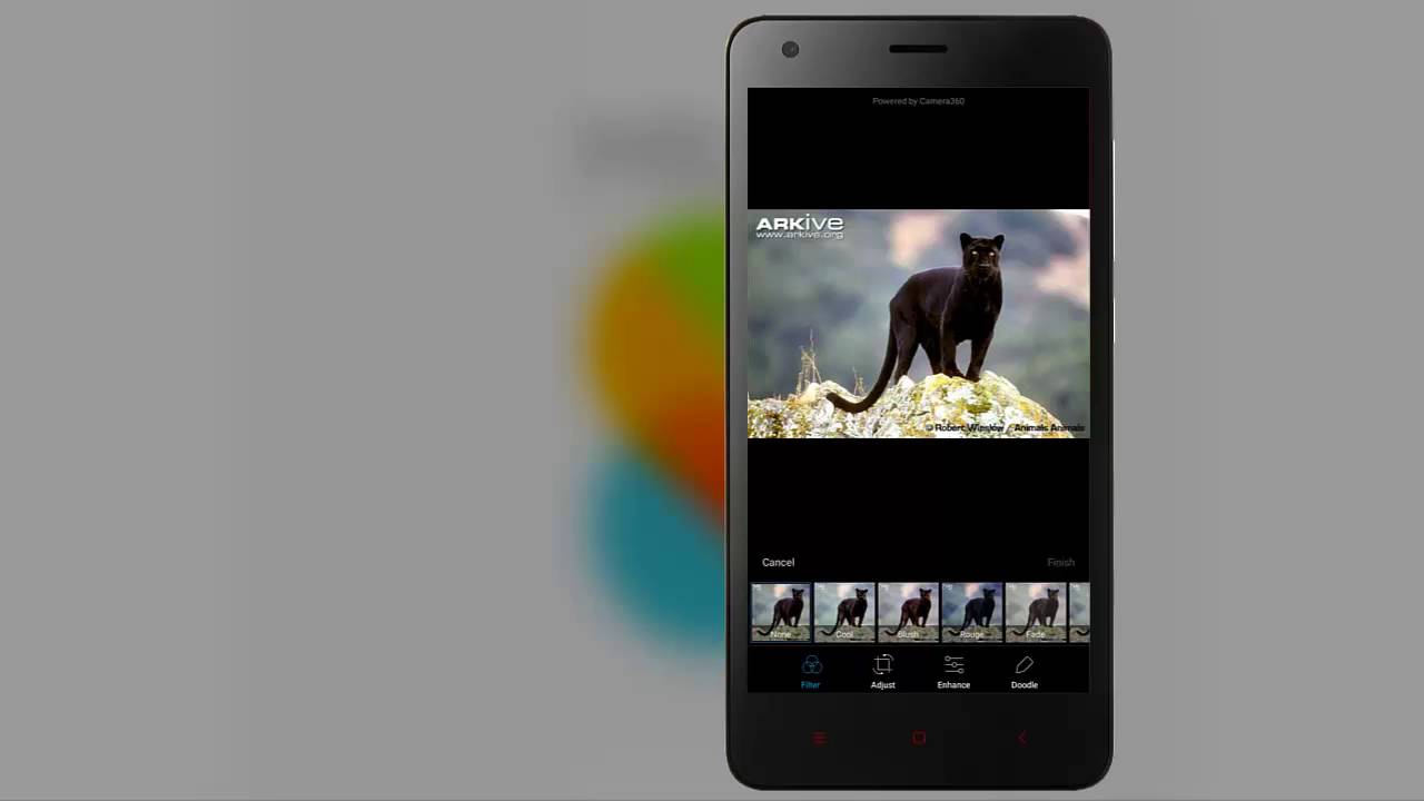MIUI 8 Lollipop 5.1.1 GLOBAL on Redmi 2