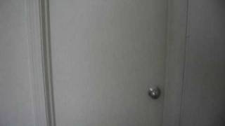 Esther Is In My Bathroom Watch