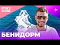 Бенидорм / Лучшие развлечения для туриста / Купание с дельфинами, каякинг и парки развлечений