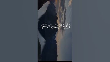 ما تيسر من سوره يونس بصوت القارئ عبد الرحمن مسعد